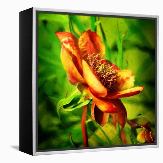 Green Light-Philippe Sainte-Laudy-Framed Premier Image Canvas