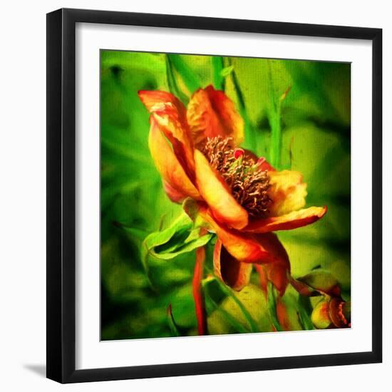 Green Light-Philippe Sainte-Laudy-Framed Photographic Print