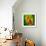 Green Light-Philippe Sainte-Laudy-Framed Photographic Print displayed on a wall