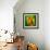 Green Light-Philippe Sainte-Laudy-Framed Photographic Print displayed on a wall