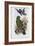 Green Lory-John Gould-Framed Giclee Print