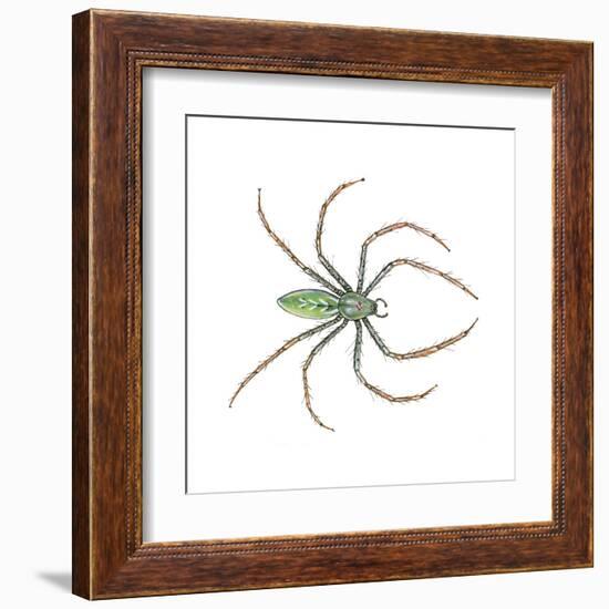 Green Lynx Spider (Peucetia Viridans), Arachnids-Encyclopaedia Britannica-Framed Art Print