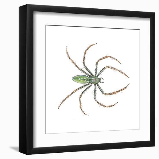 Green Lynx Spider (Peucetia Viridans), Arachnids-Encyclopaedia Britannica-Framed Art Print