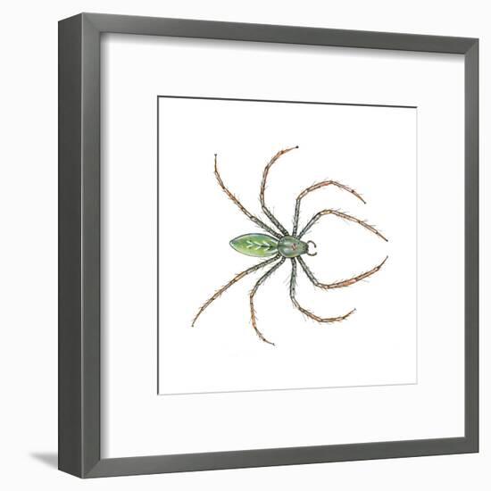 Green Lynx Spider (Peucetia Viridans), Arachnids-Encyclopaedia Britannica-Framed Art Print