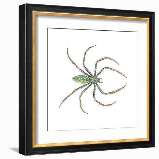 Green Lynx Spider (Peucetia Viridans), Arachnids-Encyclopaedia Britannica-Framed Art Print