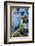 Green Macaw, Costa Rica-null-Framed Photographic Print