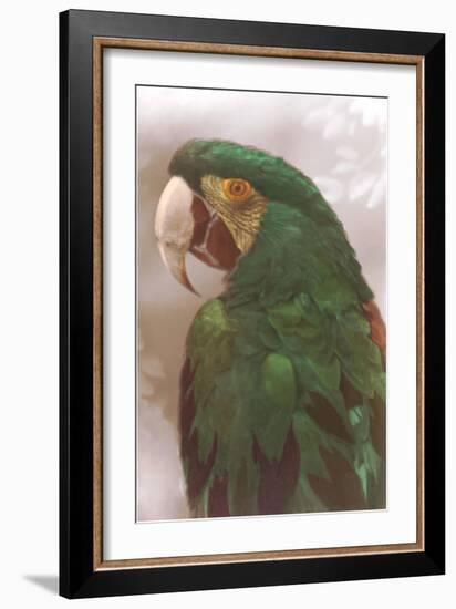 Green Macaw-null-Framed Art Print