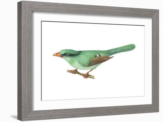 Green Magpie (Cissa Chinensis), Birds-Encyclopaedia Britannica-Framed Art Print