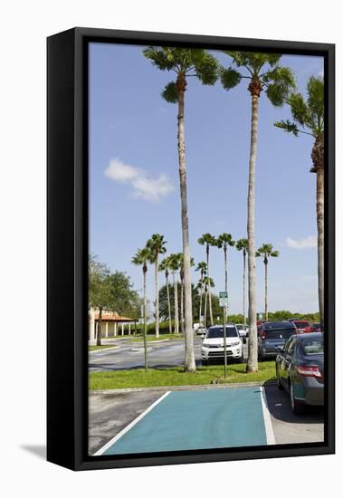 Green Marked Parking Lot for Hybrid Vehicles Only, Key Largo, Florida Keys, Florida, Usa-Axel Schmies-Framed Premier Image Canvas