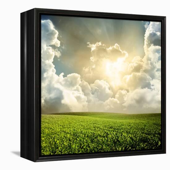 Green Meadow under Blue Sky with Clouds-Volokhatiuk-Framed Premier Image Canvas