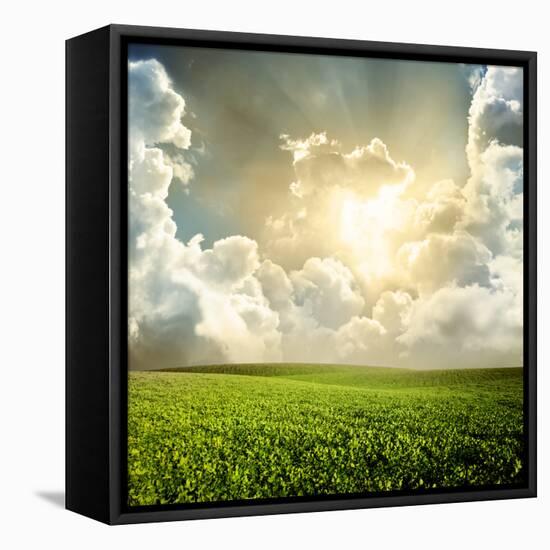 Green Meadow under Blue Sky with Clouds-Volokhatiuk-Framed Premier Image Canvas