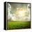 Green Meadow under Blue Sky with Clouds-Volokhatiuk-Framed Premier Image Canvas