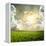 Green Meadow under Blue Sky with Clouds-Volokhatiuk-Framed Premier Image Canvas