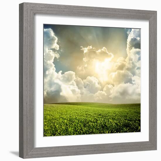 Green Meadow under Blue Sky with Clouds-Volokhatiuk-Framed Photographic Print