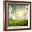 Green Meadow under Blue Sky with Clouds-Volokhatiuk-Framed Photographic Print