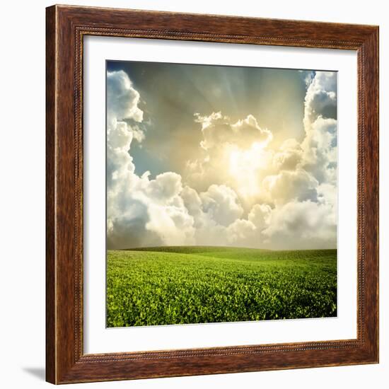 Green Meadow under Blue Sky with Clouds-Volokhatiuk-Framed Photographic Print