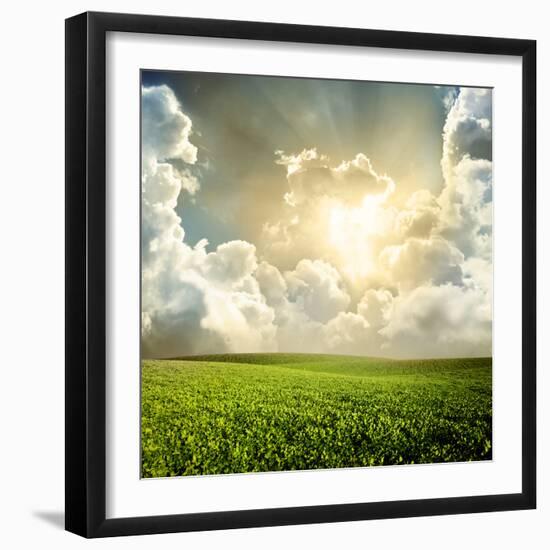 Green Meadow under Blue Sky with Clouds-Volokhatiuk-Framed Photographic Print
