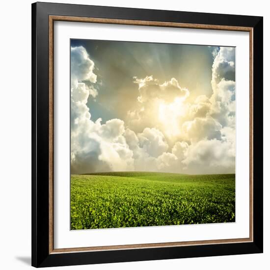 Green Meadow under Blue Sky with Clouds-Volokhatiuk-Framed Photographic Print