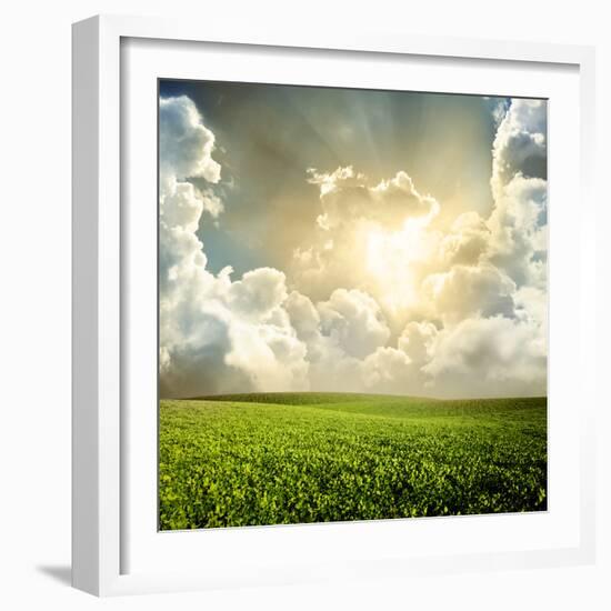 Green Meadow under Blue Sky with Clouds-Volokhatiuk-Framed Photographic Print