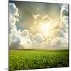 Green Meadow under Blue Sky with Clouds-Volokhatiuk-Mounted Photographic Print