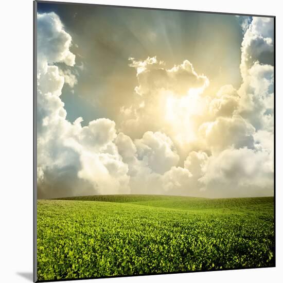 Green Meadow under Blue Sky with Clouds-Volokhatiuk-Mounted Photographic Print
