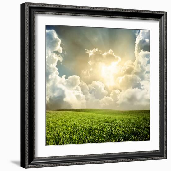 Green Meadow under Blue Sky with Clouds-Volokhatiuk-Framed Photographic Print