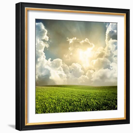 Green Meadow under Blue Sky with Clouds-Volokhatiuk-Framed Photographic Print