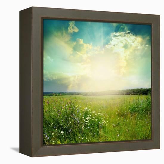 Green Meadow Under Blue Sky With Clouds-Volokhatiuk-Framed Stretched Canvas