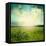 Green Meadow Under Blue Sky With Clouds-Volokhatiuk-Framed Stretched Canvas