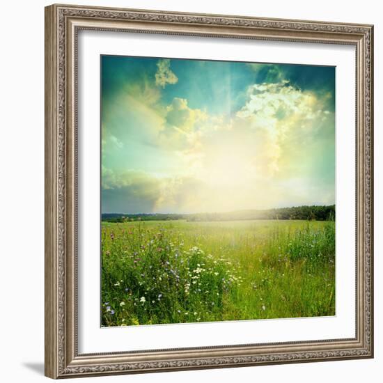 Green Meadow Under Blue Sky With Clouds-Volokhatiuk-Framed Art Print