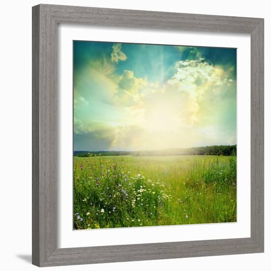 Green Meadow Under Blue Sky With Clouds-Volokhatiuk-Framed Art Print