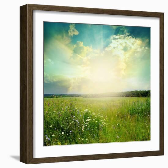 Green Meadow Under Blue Sky With Clouds-Volokhatiuk-Framed Art Print