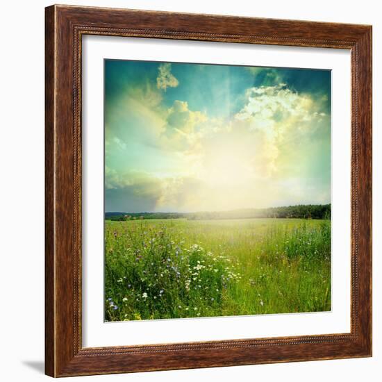 Green Meadow Under Blue Sky With Clouds-Volokhatiuk-Framed Art Print