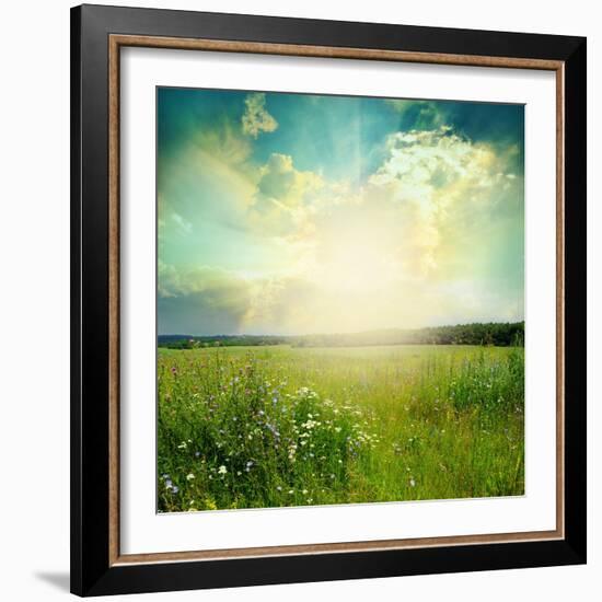 Green Meadow Under Blue Sky With Clouds-Volokhatiuk-Framed Premium Giclee Print