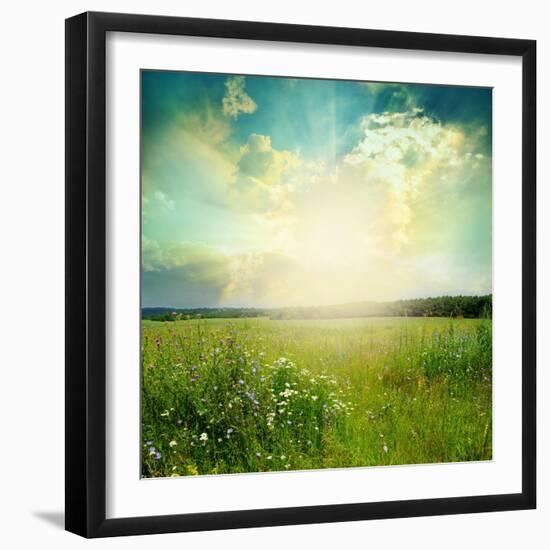 Green Meadow Under Blue Sky With Clouds-Volokhatiuk-Framed Premium Giclee Print