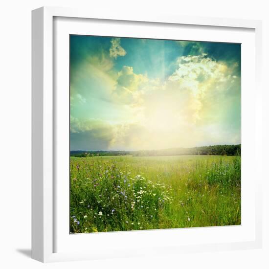 Green Meadow Under Blue Sky With Clouds-Volokhatiuk-Framed Premium Giclee Print