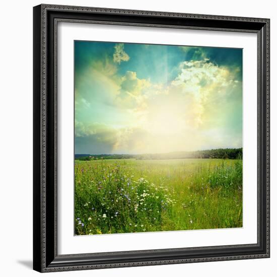 Green Meadow Under Blue Sky With Clouds-Volokhatiuk-Framed Premium Giclee Print