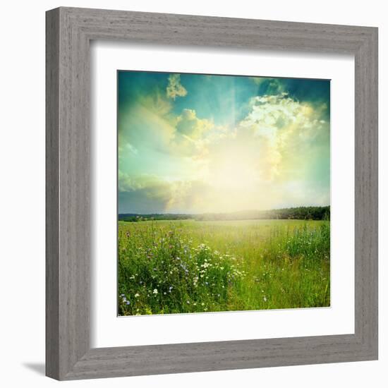 Green Meadow Under Blue Sky With Clouds-Volokhatiuk-Framed Art Print