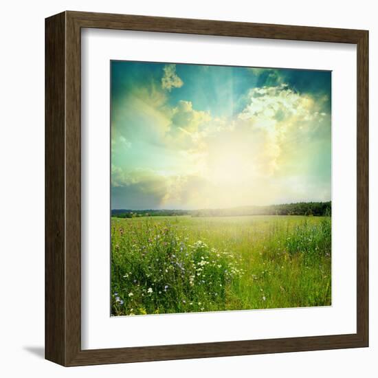 Green Meadow Under Blue Sky With Clouds-Volokhatiuk-Framed Art Print