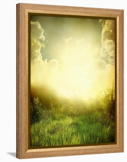 Green Meadow under Blue Sky with Clouds-Volokhatiuk-Framed Stretched Canvas
