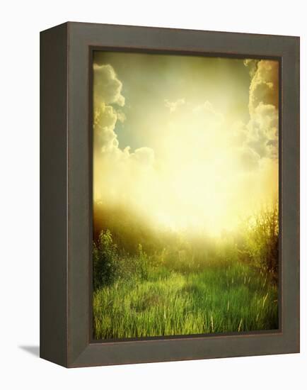 Green Meadow under Blue Sky with Clouds-Volokhatiuk-Framed Stretched Canvas