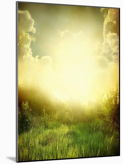 Green Meadow under Blue Sky with Clouds-Volokhatiuk-Mounted Art Print