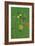 Green Meadow-Dicky Bird-Framed Giclee Print