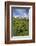 Green Meadows and Cows Grazing on a Sunny Summer Day, Orobie Alps, Arigna Valley-Roberto Moiola-Framed Photographic Print