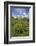 Green Meadows and Cows Grazing on a Sunny Summer Day, Orobie Alps, Arigna Valley-Roberto Moiola-Framed Photographic Print