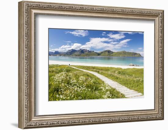 Green meadows and flowers surrounded by turquoise sea and fine sand, Ramberg, Lofoten Islands, Norw-Roberto Moiola-Framed Photographic Print