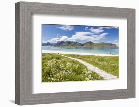 Green meadows and flowers surrounded by turquoise sea and fine sand, Ramberg, Lofoten Islands, Norw-Roberto Moiola-Framed Photographic Print