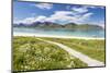 Green meadows and flowers surrounded by turquoise sea and fine sand, Ramberg, Lofoten Islands, Norw-Roberto Moiola-Mounted Photographic Print