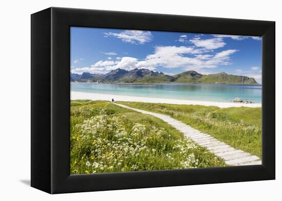 Green meadows and flowers surrounded by turquoise sea and fine sand, Ramberg, Lofoten Islands, Norw-Roberto Moiola-Framed Premier Image Canvas