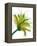 Green Mix-Jan Weiss-Framed Stretched Canvas